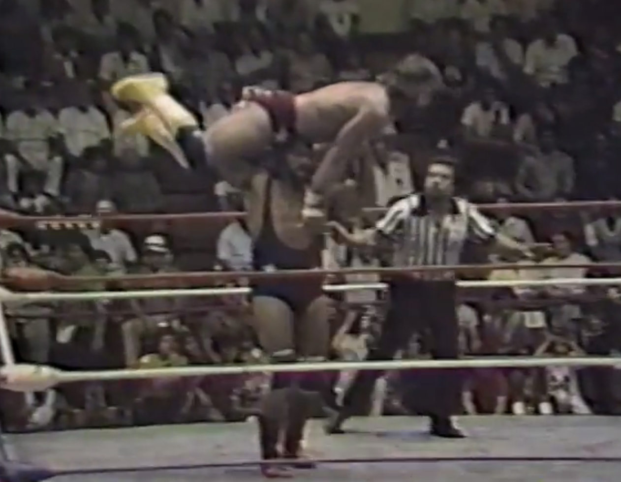 Hercules Ayala Stomps Randy Savage in Ponce